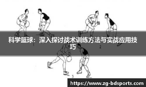 半岛体育APP
