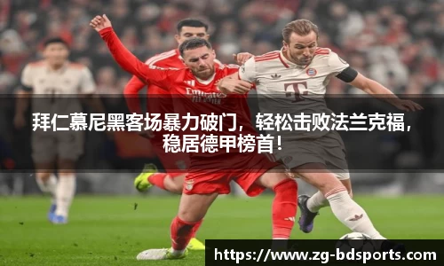 半岛体育APP