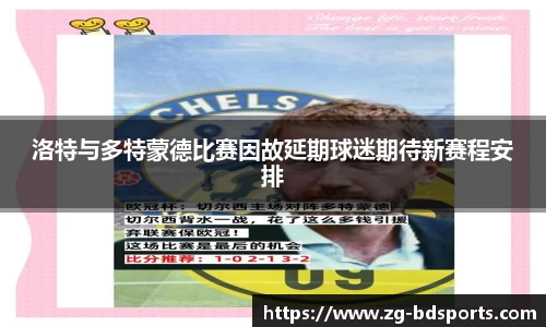 半岛体育APP