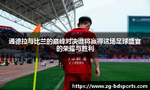 半岛体育官网