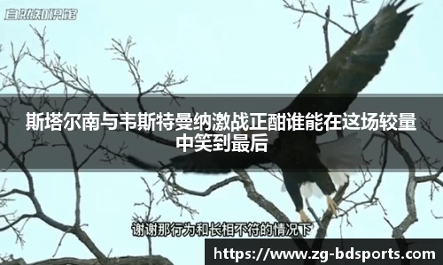 半岛体育官方网站