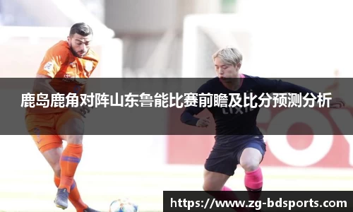半岛体育APP