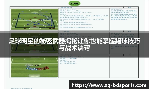 半岛体育官方网站