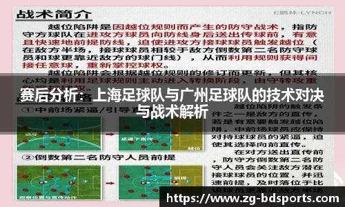 半岛体育APP