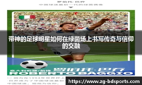 半岛体育