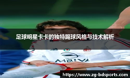 半岛体育官方网站